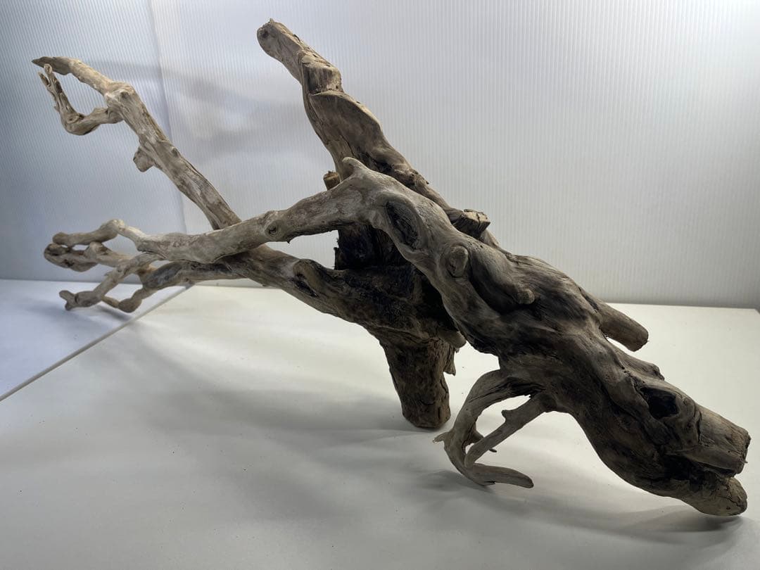 V24特大流木 アク抜き済み流木 爬虫類シェルター 登り木 インテリア 生け花