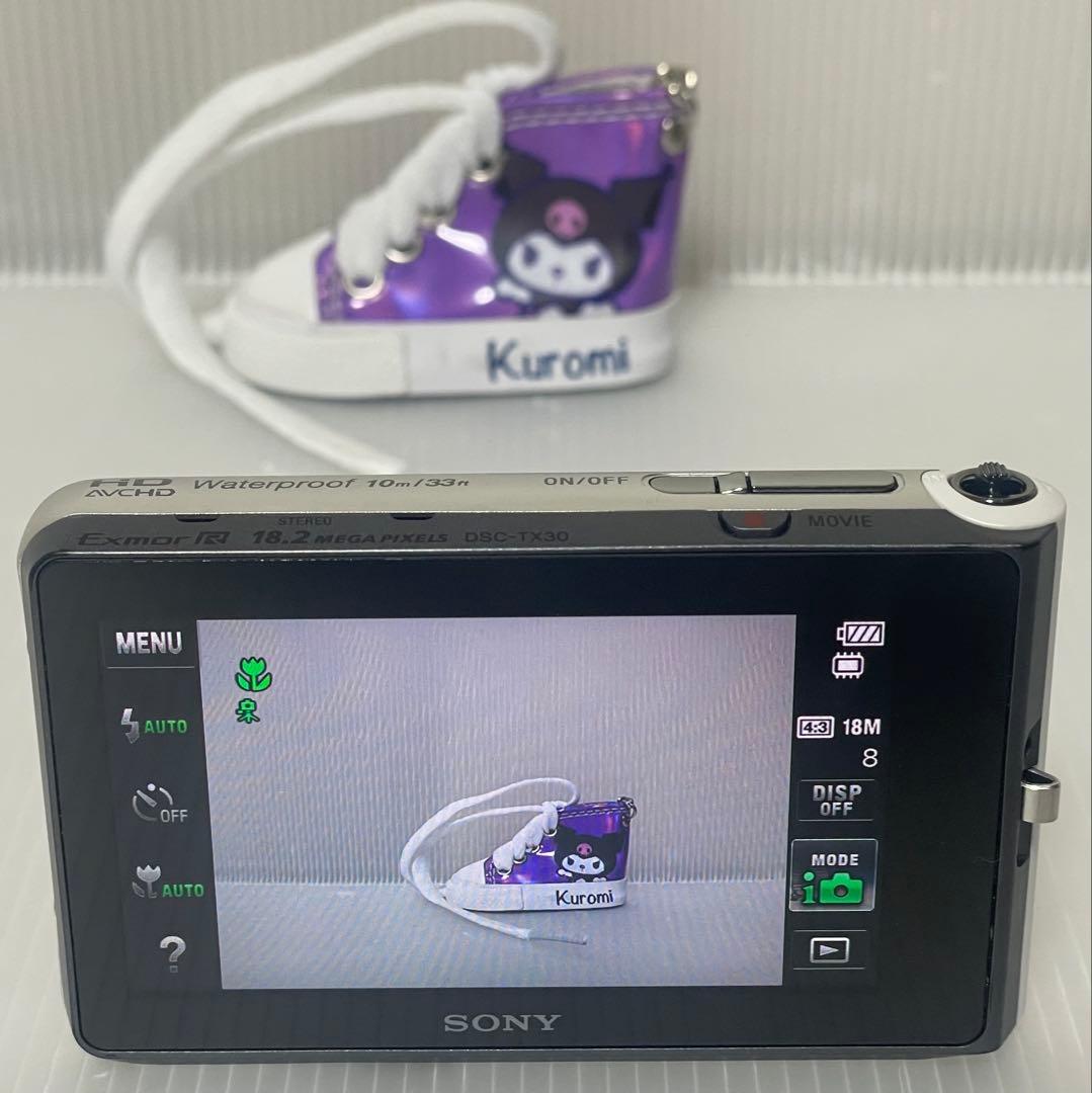 SONY DSC-TX30 動作確認済み