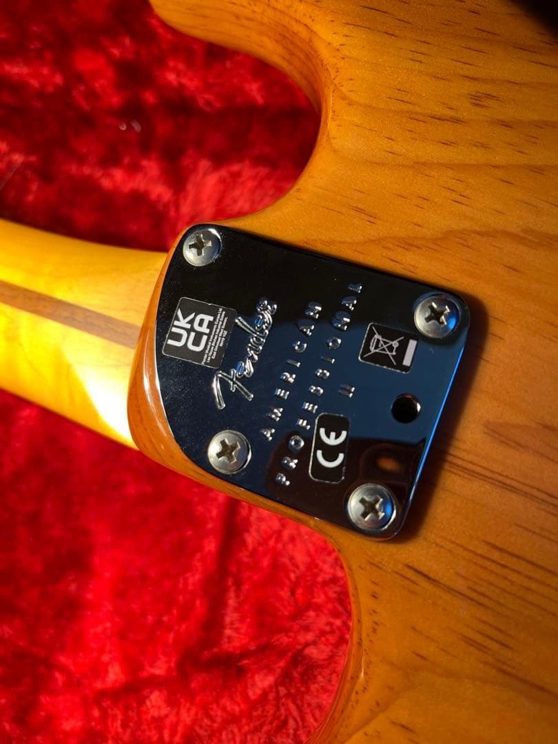 ギター Fender USA American professional 2