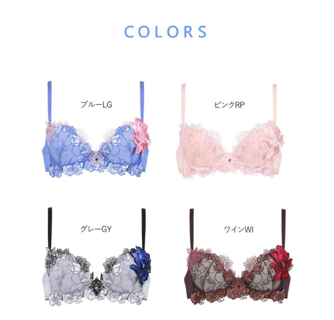 (価格変更しました❣️さらに値下げしました)サルートワコールランジェリー3点セット