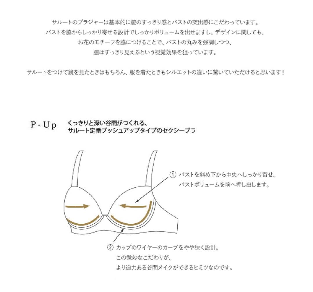 (価格変更しました❣️さらに値下げしました)サルートワコールランジェリー3点セット