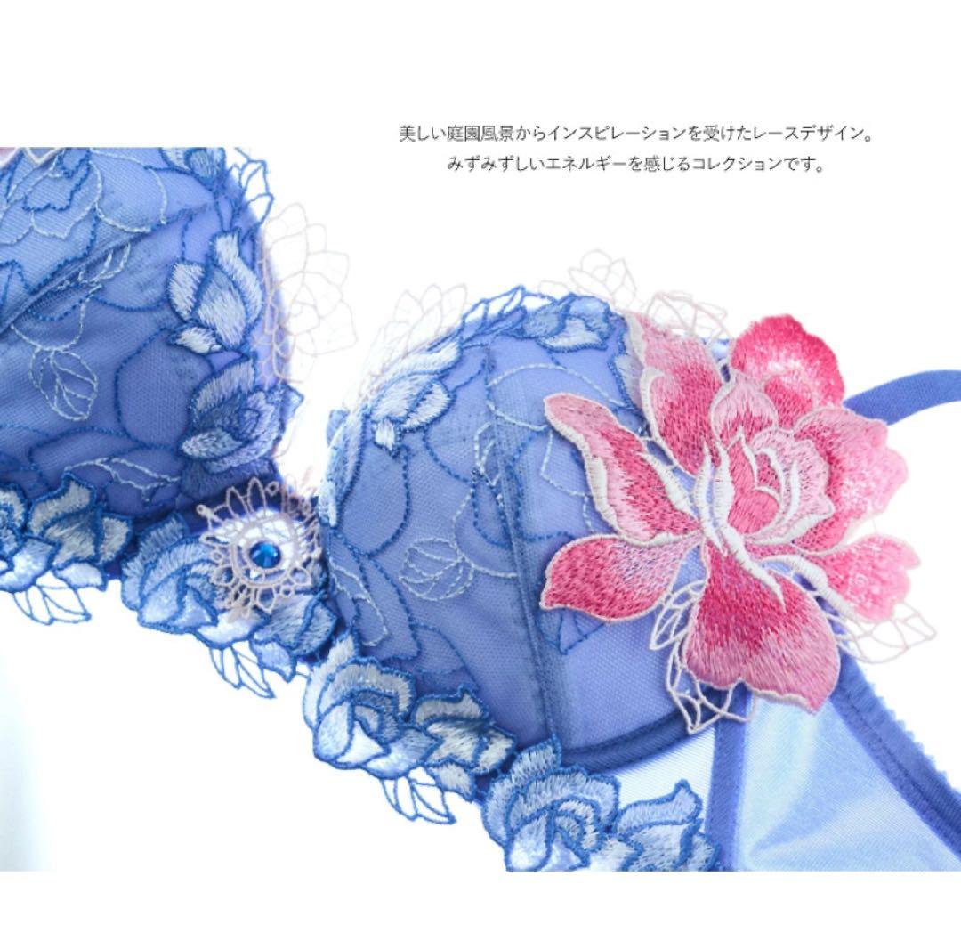 (価格変更しました❣️さらに値下げしました)サルートワコールランジェリー3点セット