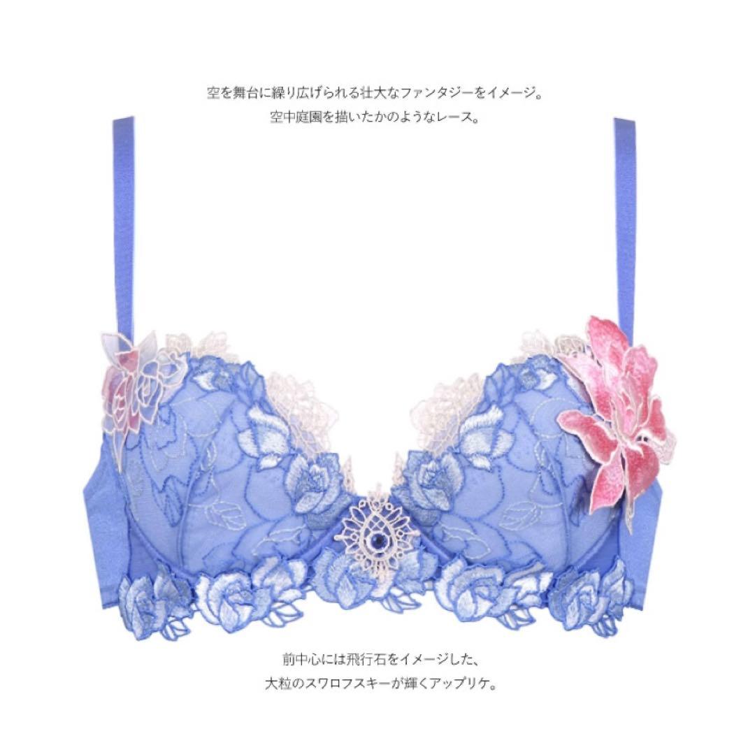 (価格変更しました❣️さらに値下げしました)サルートワコールランジェリー3点セット