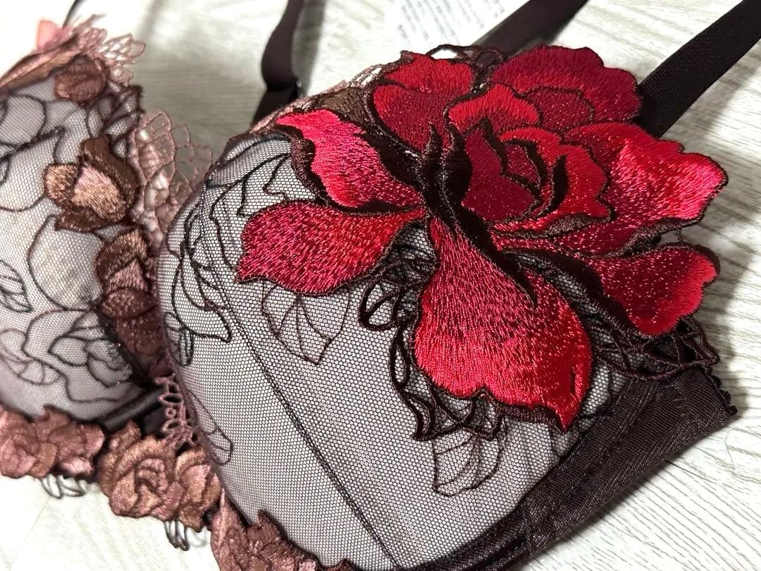 (価格変更しました❣️さらに値下げしました)サルートワコールランジェリー3点セット