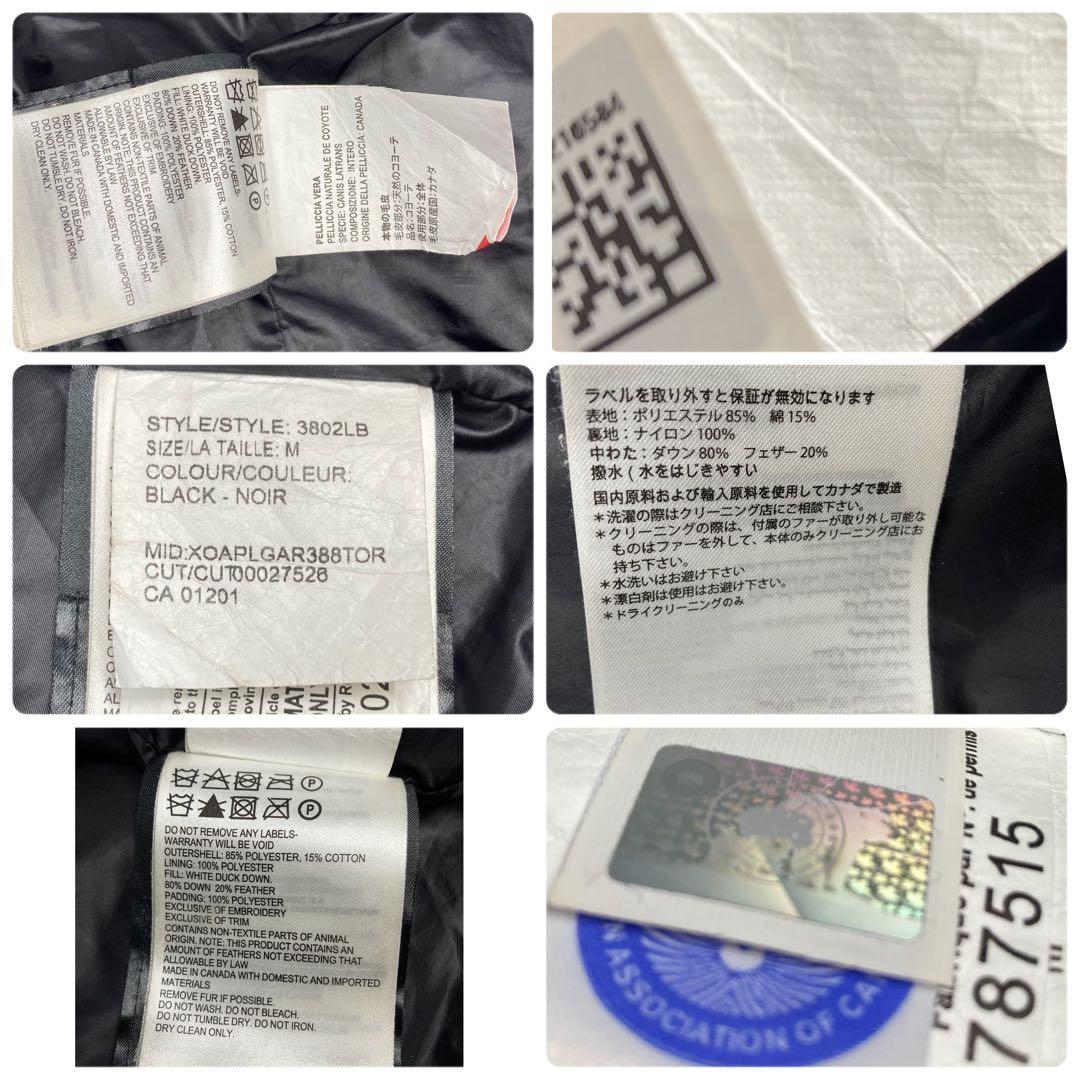 カナダグース　3802LB ブラックレーベル　M シェルバーン　コヨーテファー