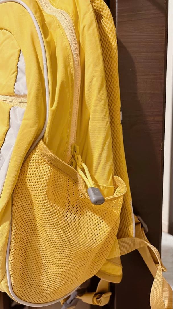 バッグ THE NORTH FACE green label relaxing