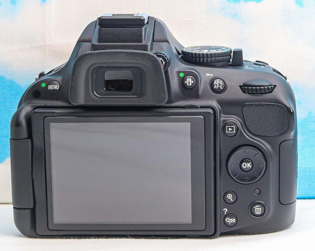 Nikon D5200⭐️動画撮影可⭐️スマホ転送♪⭐️ダブルレンズ⭐️一眼レフ