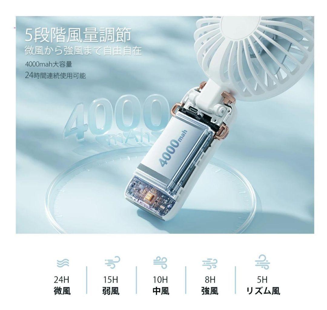 大木さん専用12個