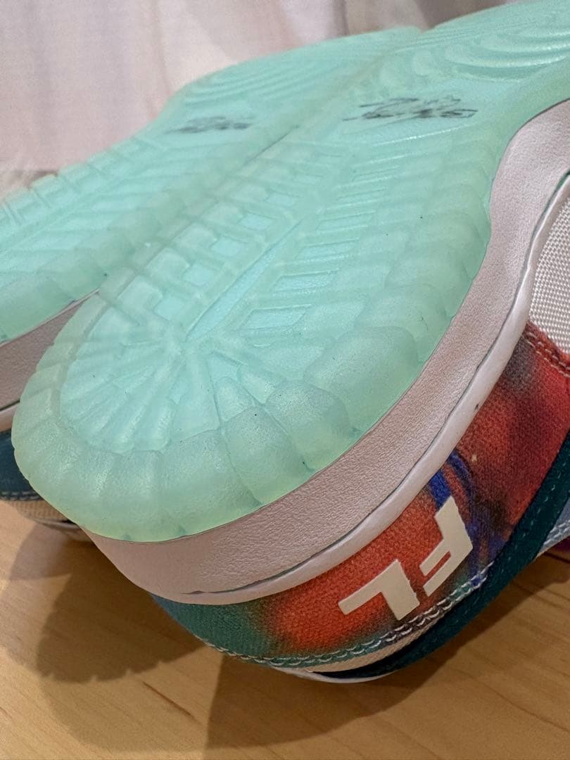 靴 Nikesb dunk low pro QS Futura