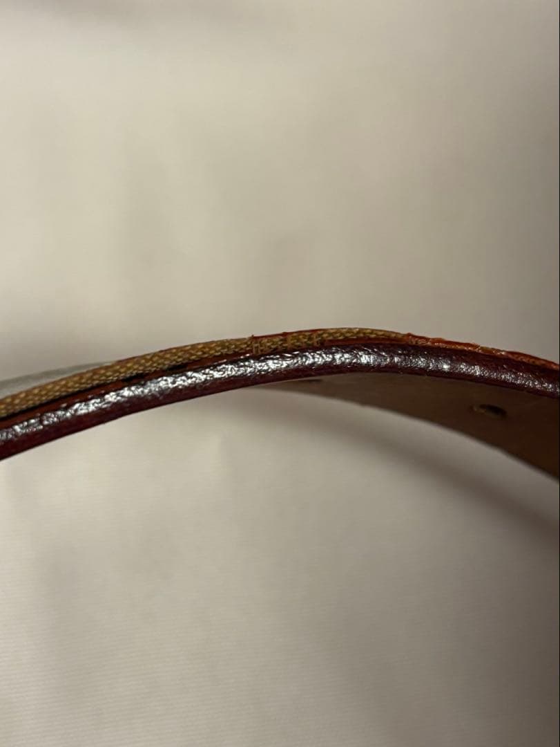 Louis Vuitton モノグラムマルチカラー ベルト