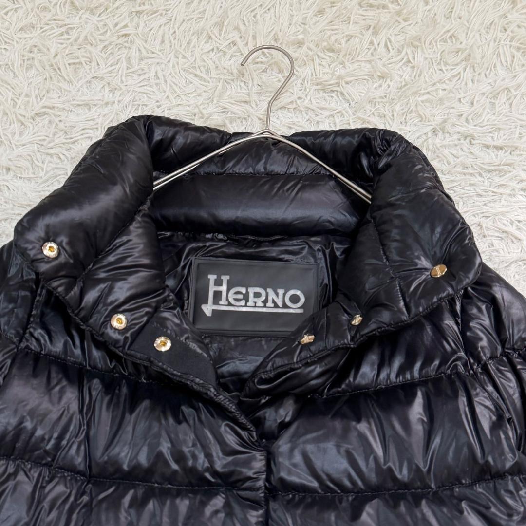 17530✨ヘルノ モノグラム ウルトラライトダウンジャケット 38 ブラック