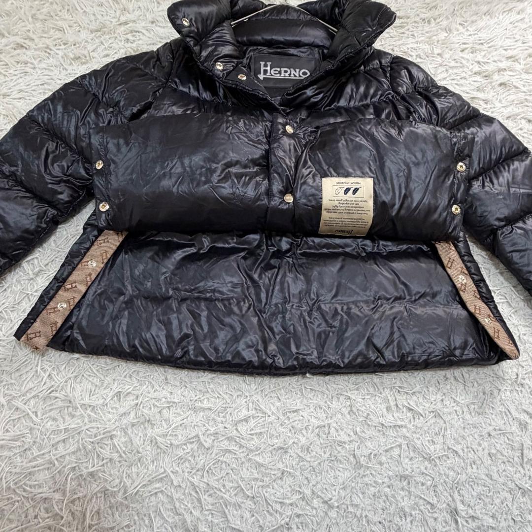 17530✨ヘルノ モノグラム ウルトラライトダウンジャケット 38 ブラック