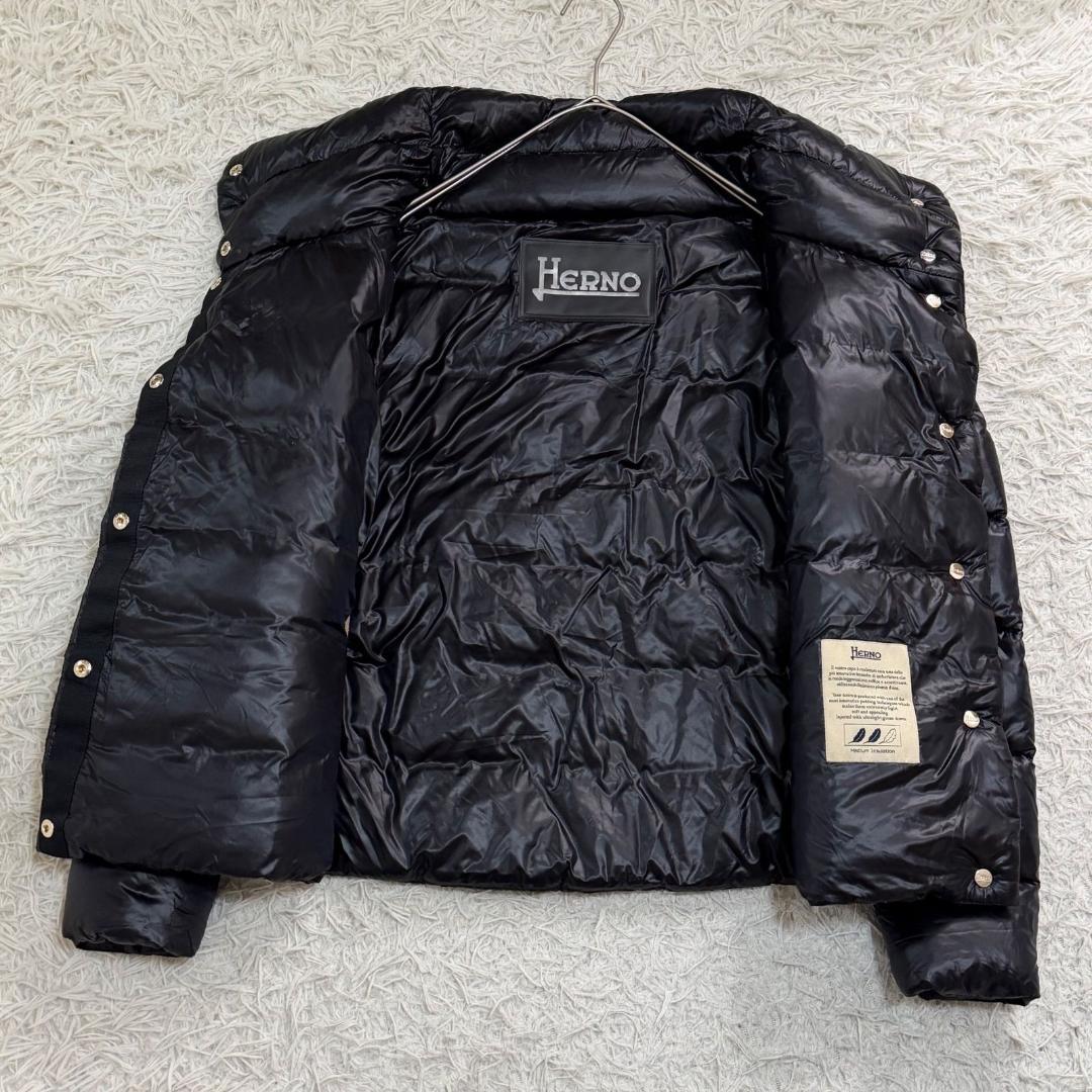 17530✨ヘルノ モノグラム ウルトラライトダウンジャケット 38 ブラック