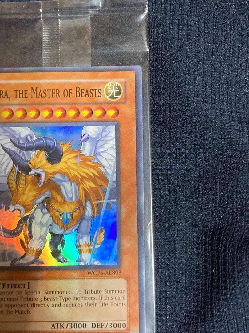遊戯王　未開封 Chimaera, the Master of Beasts