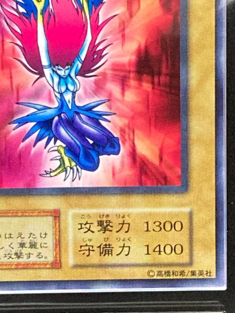 ARS10【コンパクト送料無料】遊戯王　初期　ハーピィ・レディ　ノーマル