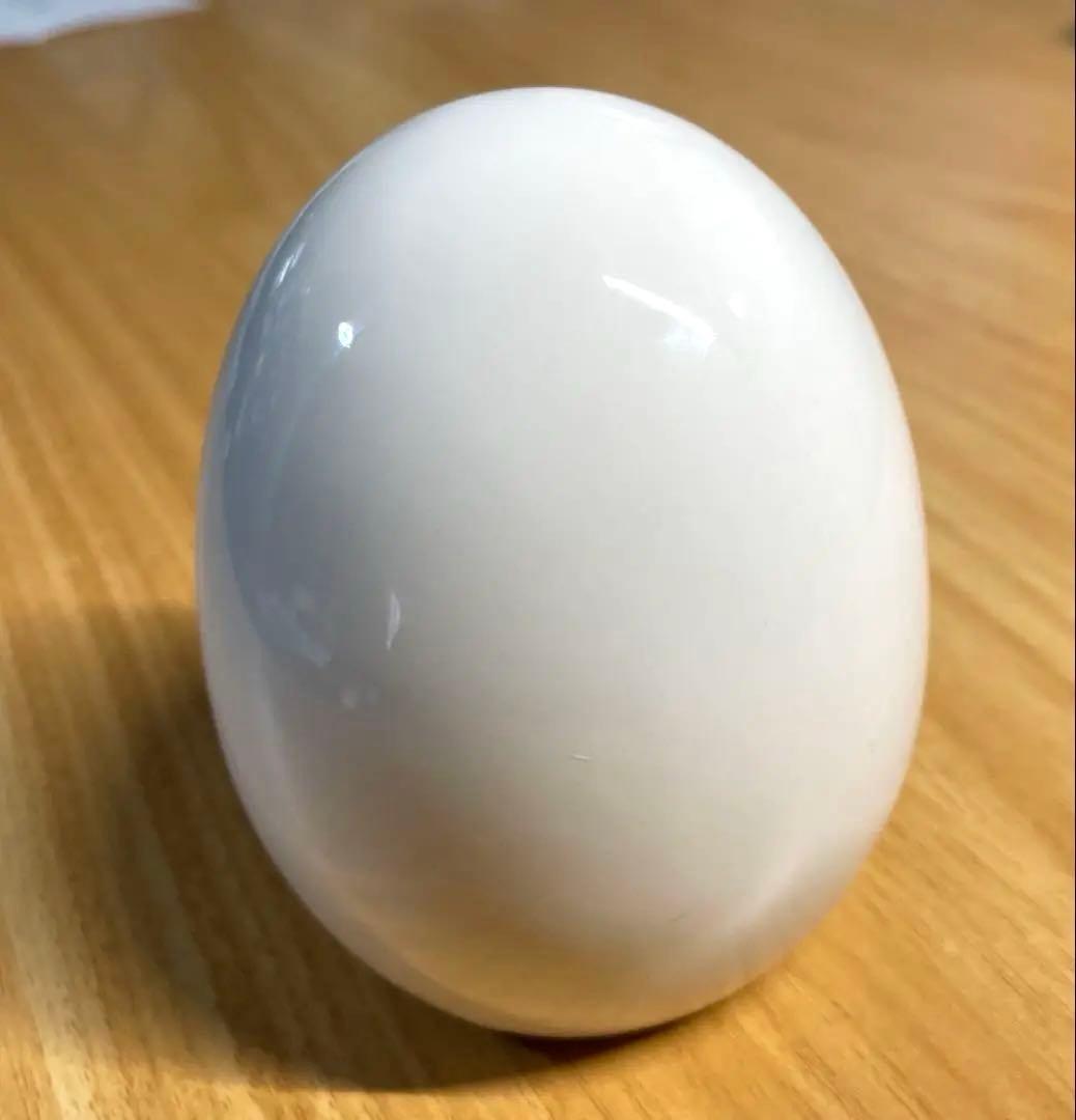 ラドンガス発生器