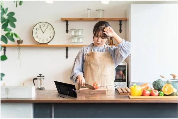 DVDプレーヤー搭載 14インチ フルセグ ポータブルテレビ車載対応