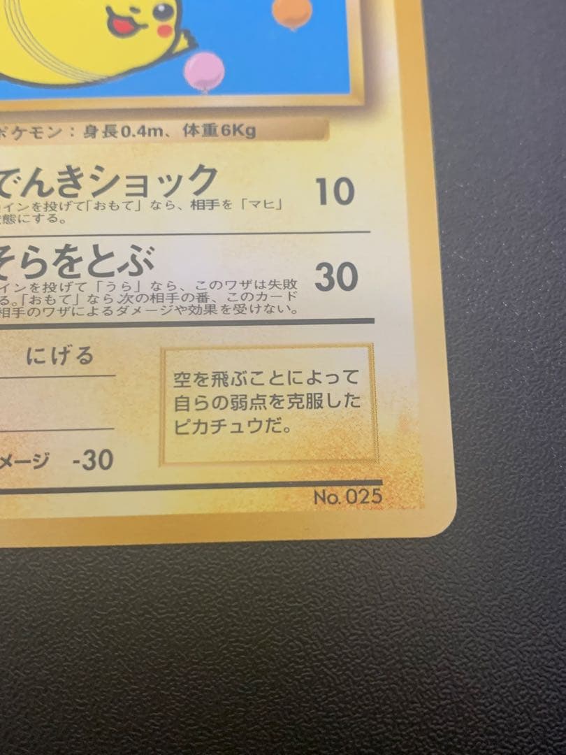 旧裏そらをとぶピカチュウ_ANA 「ジェットでゲットだ！Wチャンスキャンペーン」