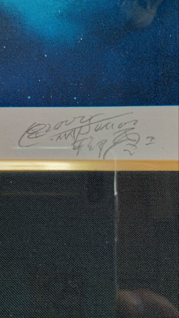 新品☆松本零士☆宇宙戦艦ヤマトシルクスクリーンテレサの祈り。118/250