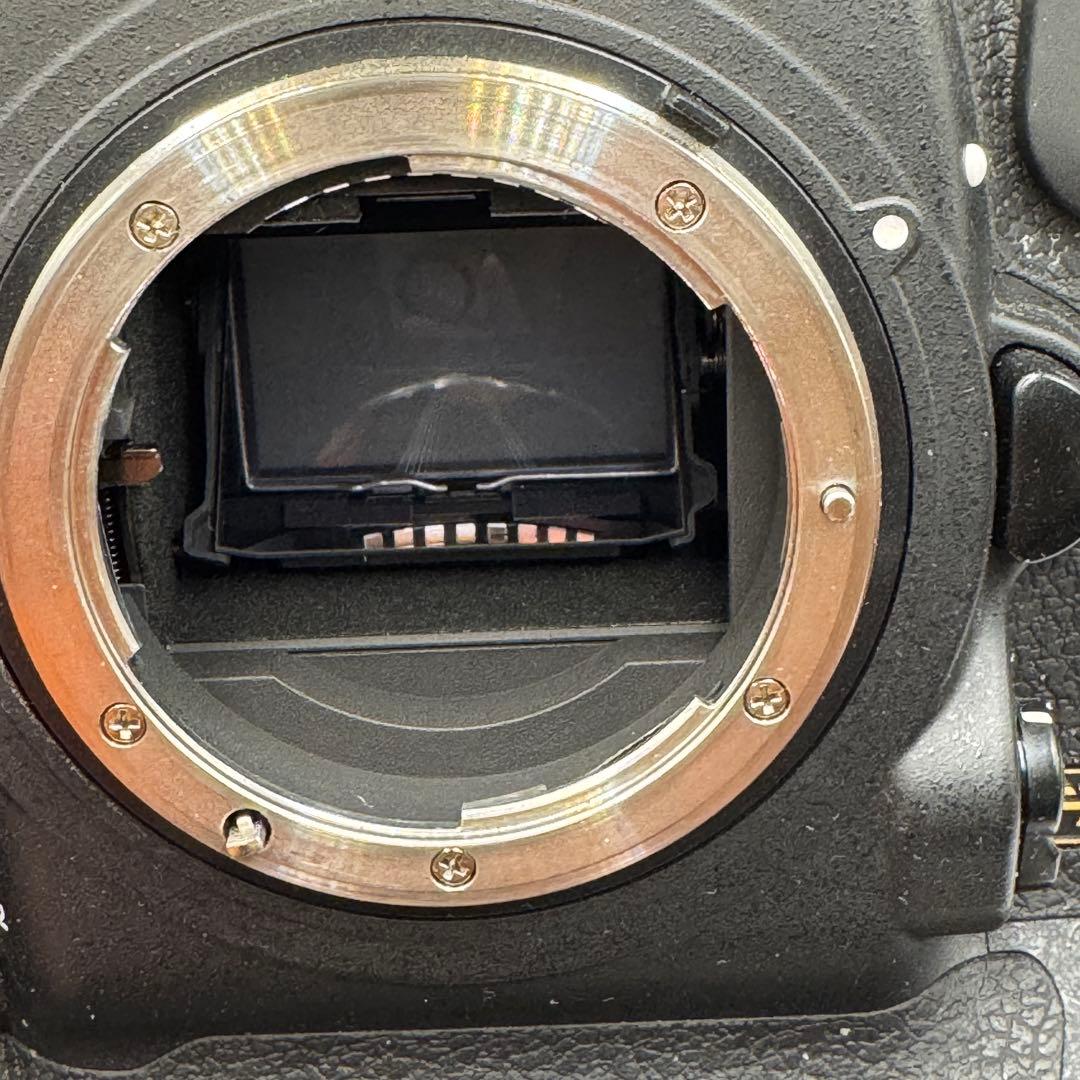 な*郎様 Nikon D5 XQD-type EL18a MH-26a EH-6