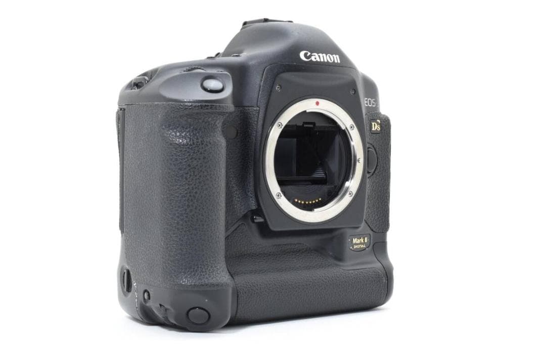 ショット数:15812回 Canon EOS-1Ds Mark II #1171