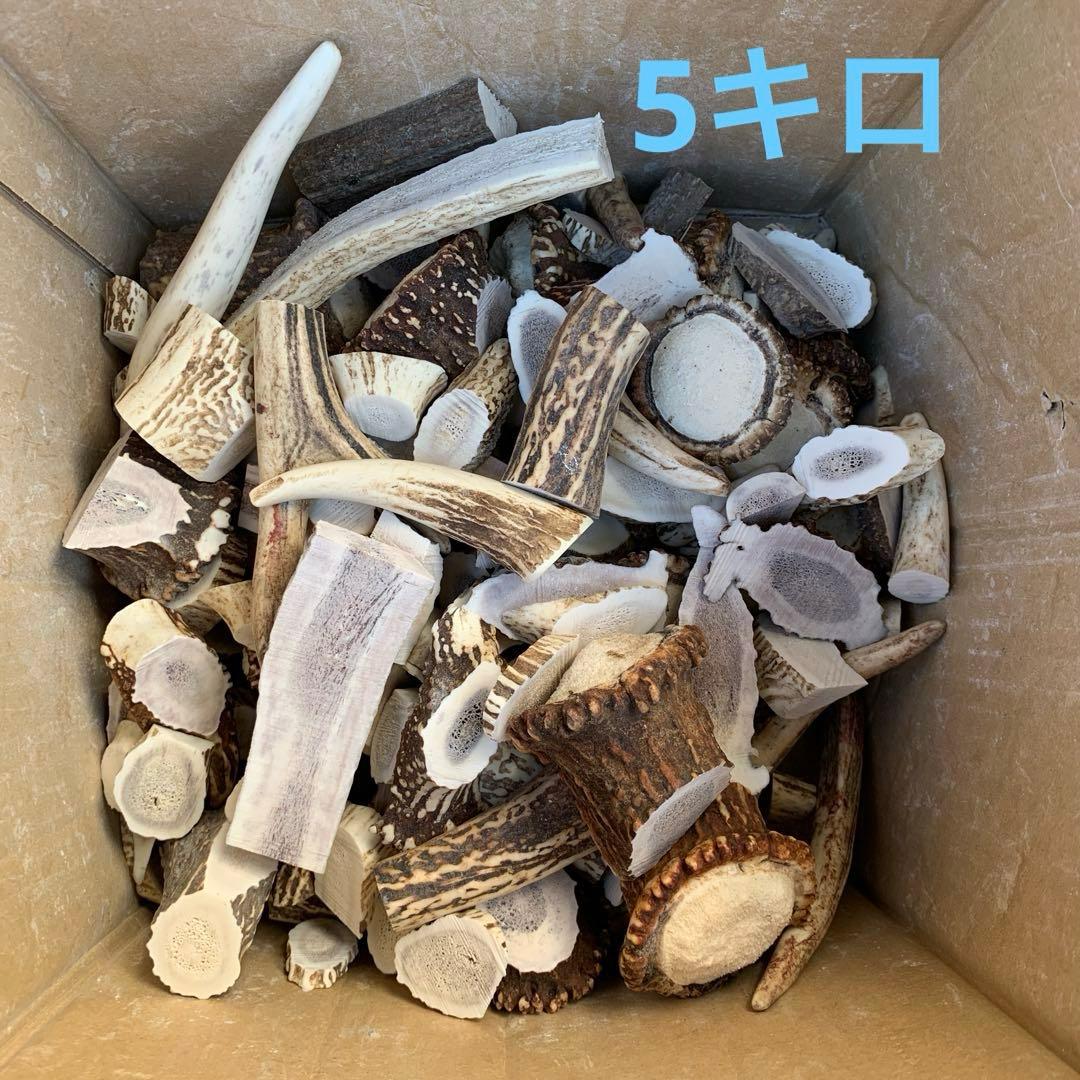 No.2135『鹿角先端&加工材20kセット』鹿の角　エゾ鹿　鹿角　蝦夷鹿