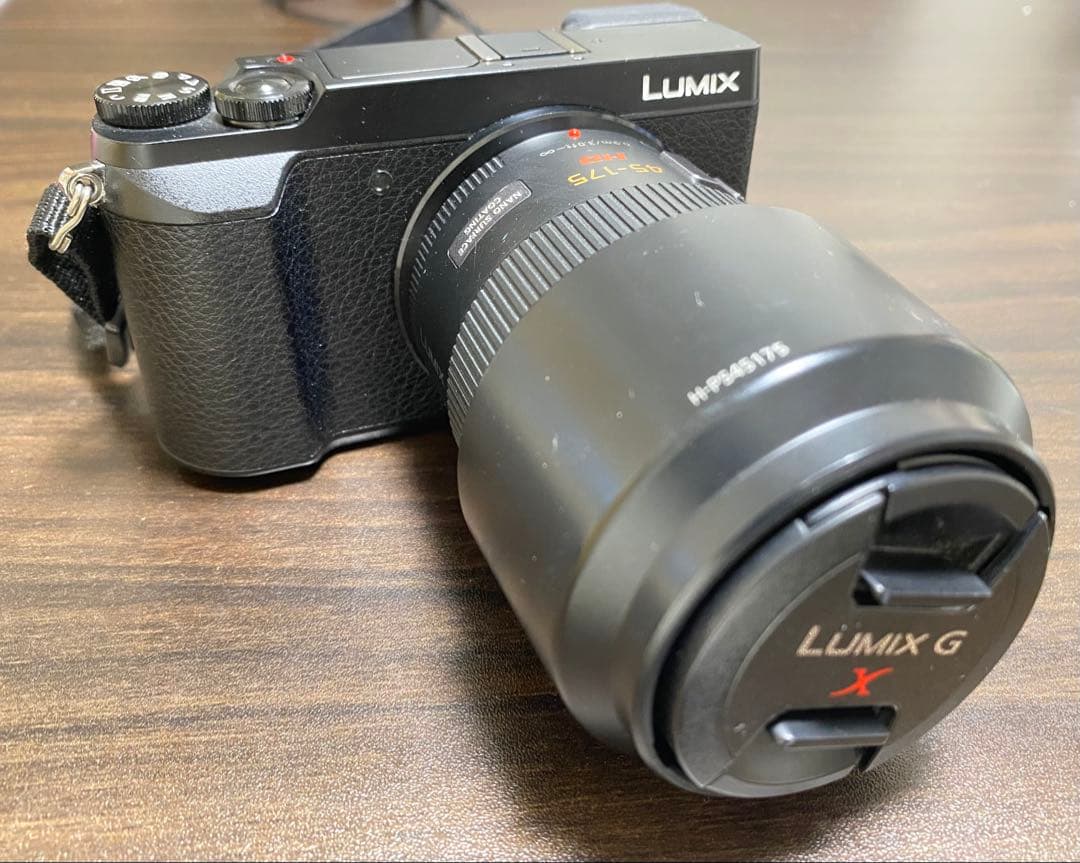 LUMIXミラーレスカメラ&レンズ（GX VARIO PZ45-175）