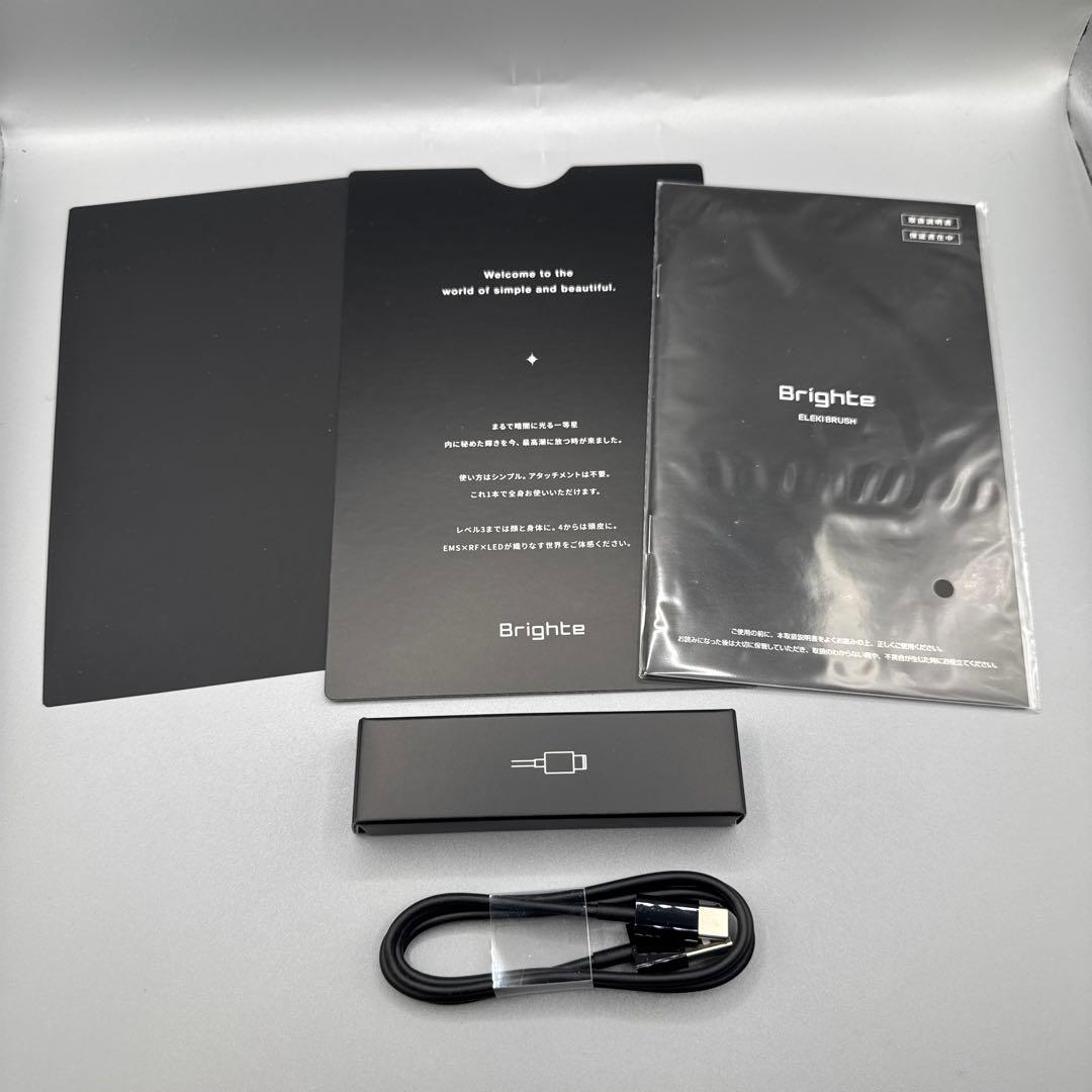 M1392 Brighte ブライト ELEKIBRUSH エレキブラシ