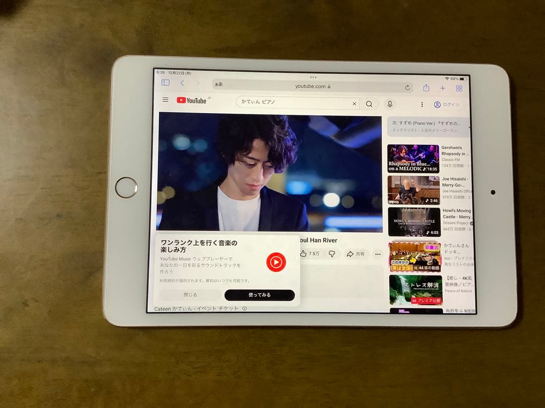 iPad mini4 wifi+cellular 128GB 美品 SIMフリー