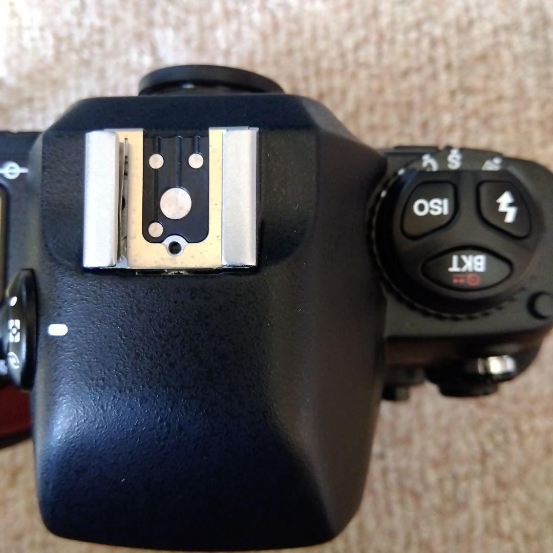 Nikon F100 一眼レフカメラ　＋MB15＋SB28