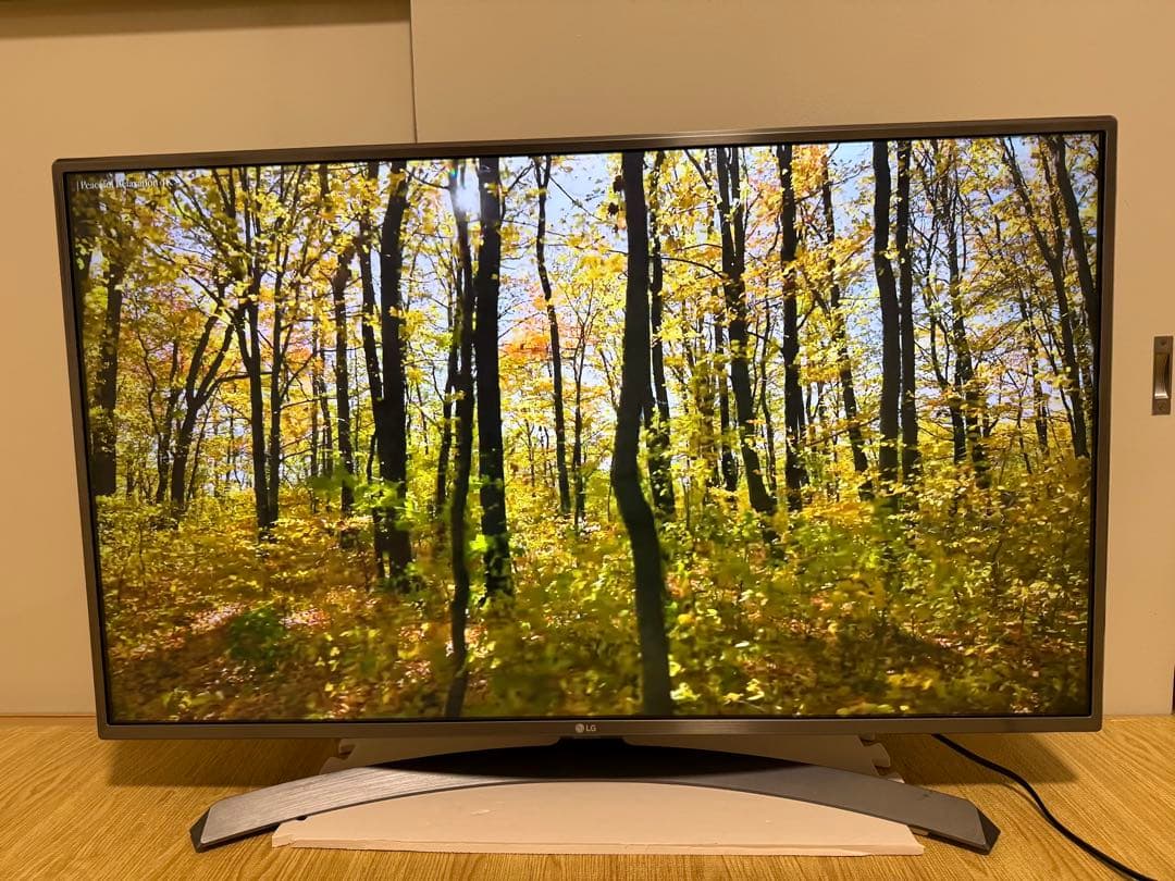 美品LG 43UJ6500 43 インチ　2017年製　⭕️ 4Kネット動画テレビ