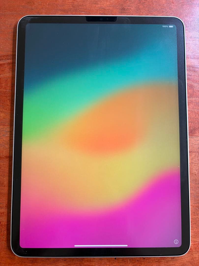 Apple iPad Pro (11インチ) 第4世代 256GB