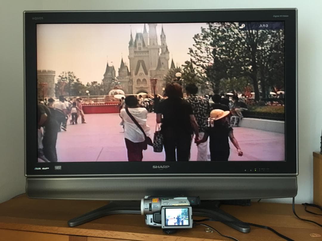 美品　撮影再生ダビングOK　SONY　DCR-TRV310　付属品有　Hi8