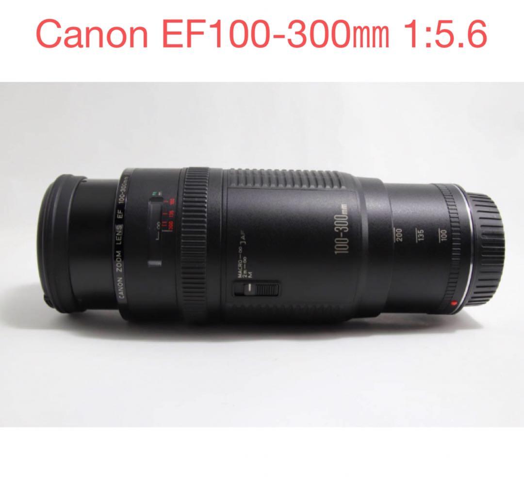 キャノン/望遠レンズ/Canon EF100-300㎜ 1:5.6レンズセット