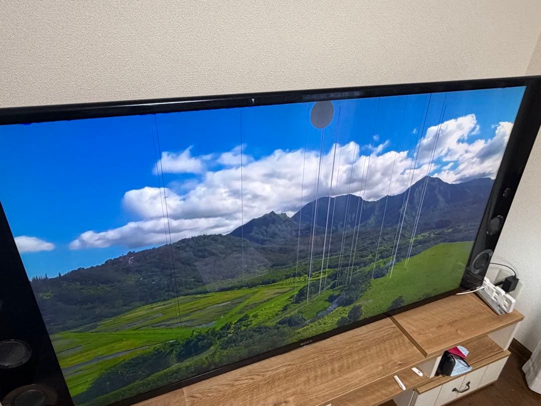 【ジャンク品】SONY BRAVIA KD-65X9200B 4K液晶テレビ