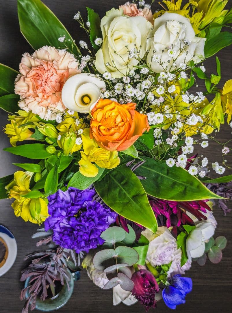 レンズ5本付きCanon EOS 9000D