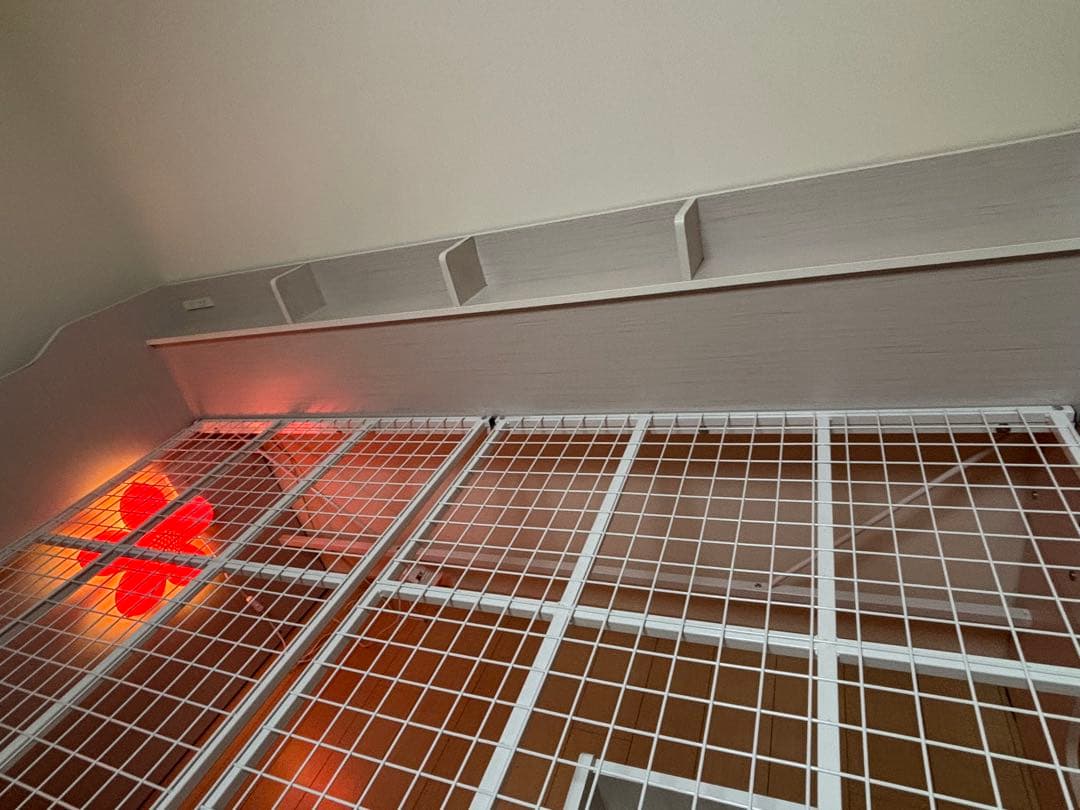 ryo！栃木市取りに来ていただける方