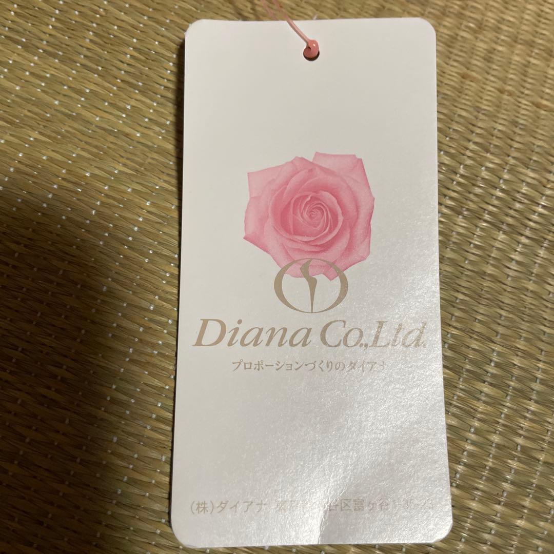 Diana 補整下着のダイアナ リセグラマラスブラジャー B75