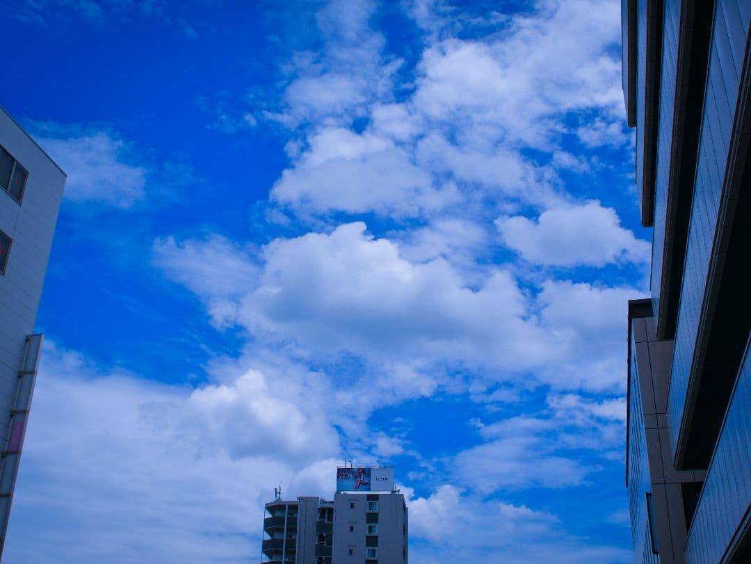 価格改定♪NIKKOR- UD AUTO 20mm 1:3.5（Ai改）