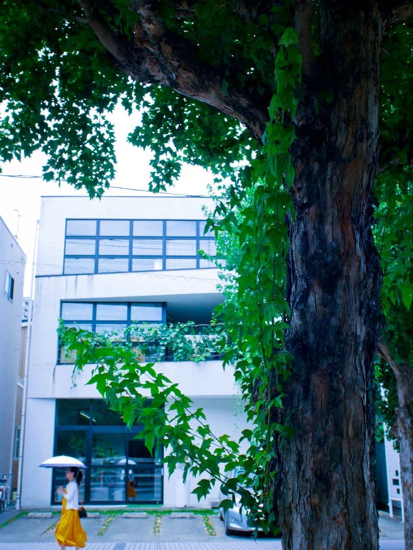 価格改定♪NIKKOR- UD AUTO 20mm 1:3.5（Ai改）