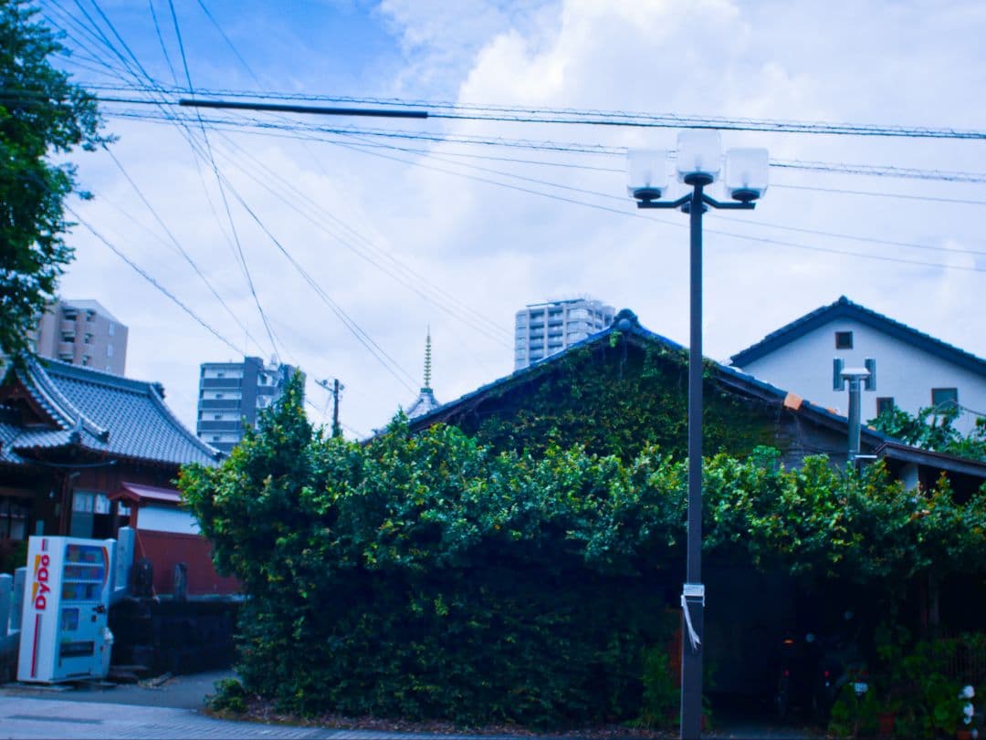 価格改定♪NIKKOR- UD AUTO 20mm 1:3.5（Ai改）