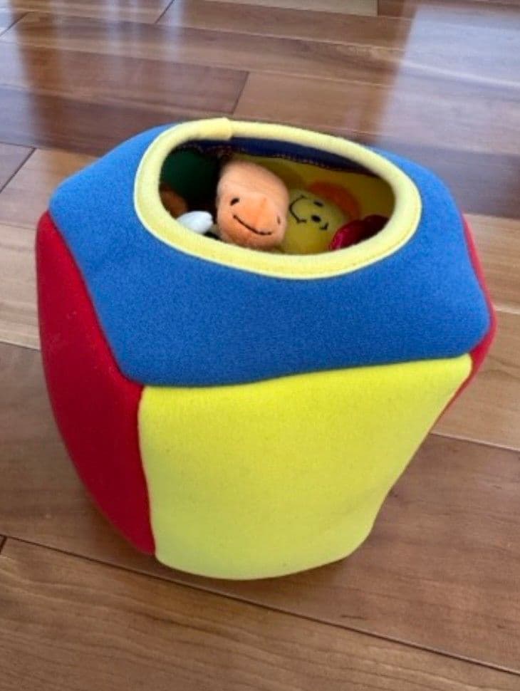 DWE Play Along! ディズニー英語システム