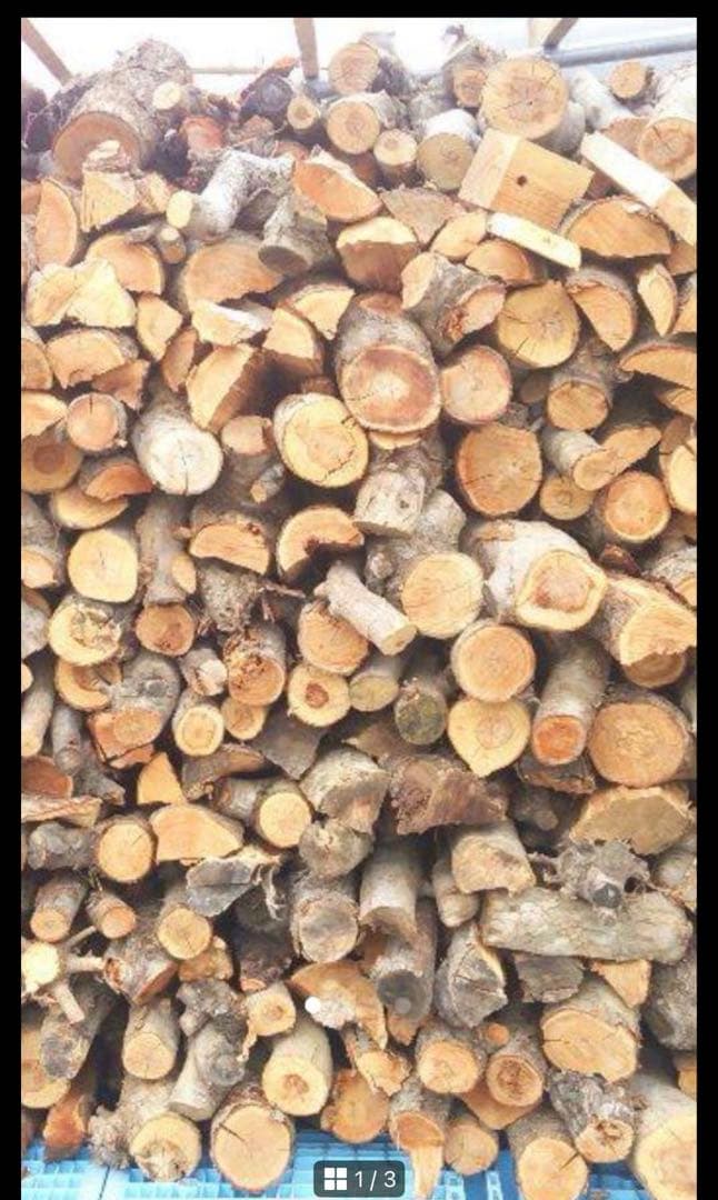 虎太狼　長野市発