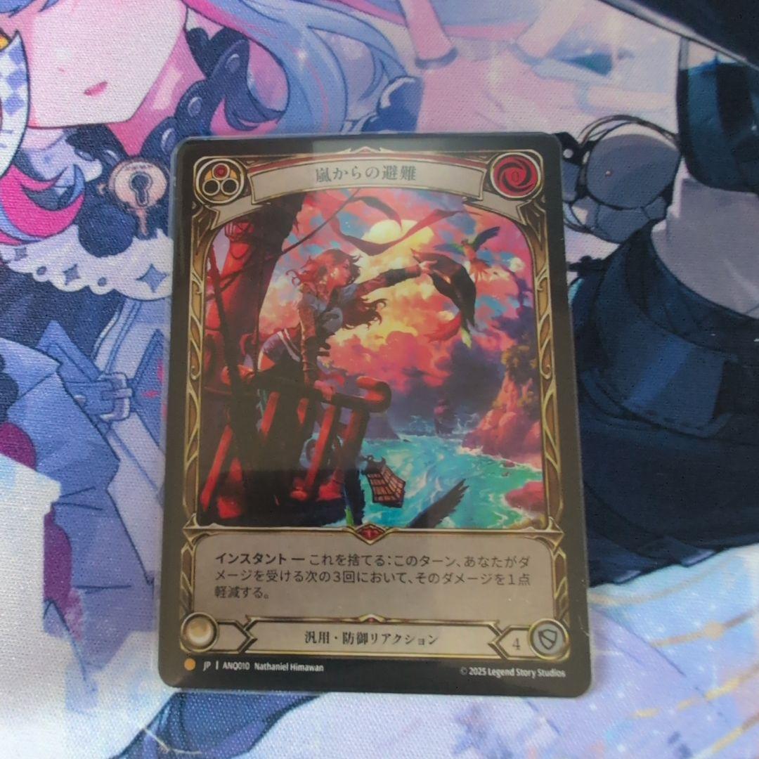 FaB　嵐からの避難　RF