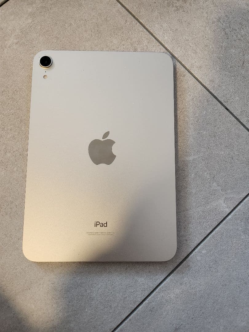 iPad本体 iPad mini 256gb wifi