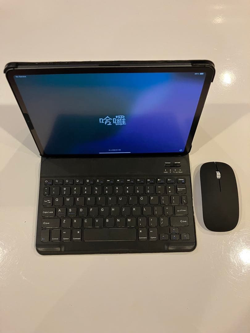 美品 Apple iPad Pro 11インチ 64G MU0M2J/A 箱付き