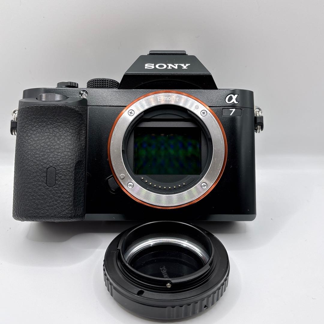 SONY α7 ILCE-7 撮影枚数292枚 ソニー　ミラーレス一眼　カメラ