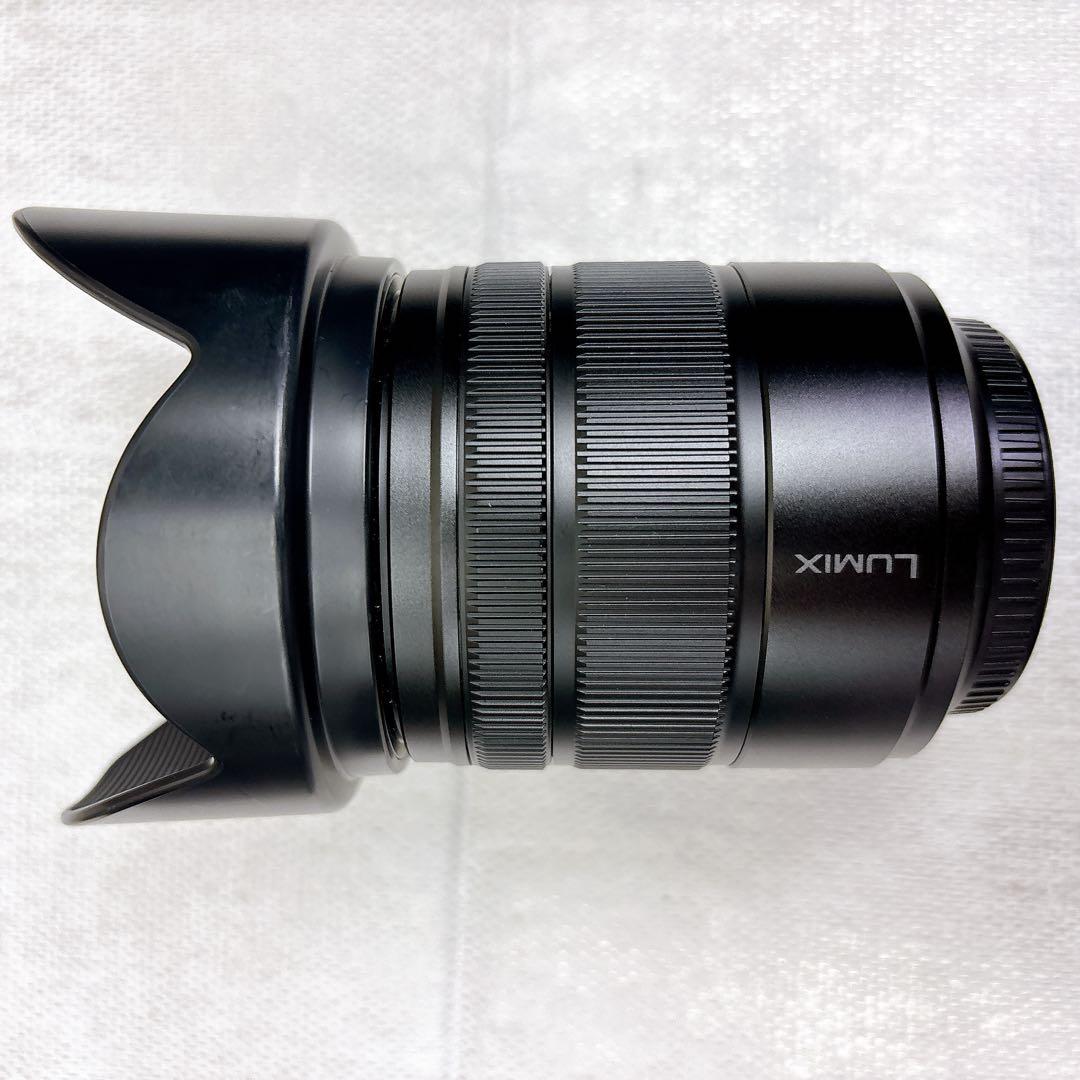 レンズ(ズーム) LUMIX 14-140mm II ASPH H-FSA14140