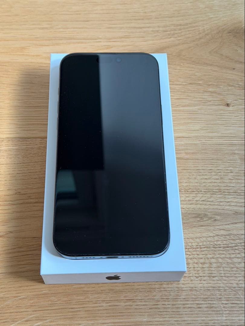 iPhone 16 Pro Max 256GB ブラックチタニウム＋おまけ付