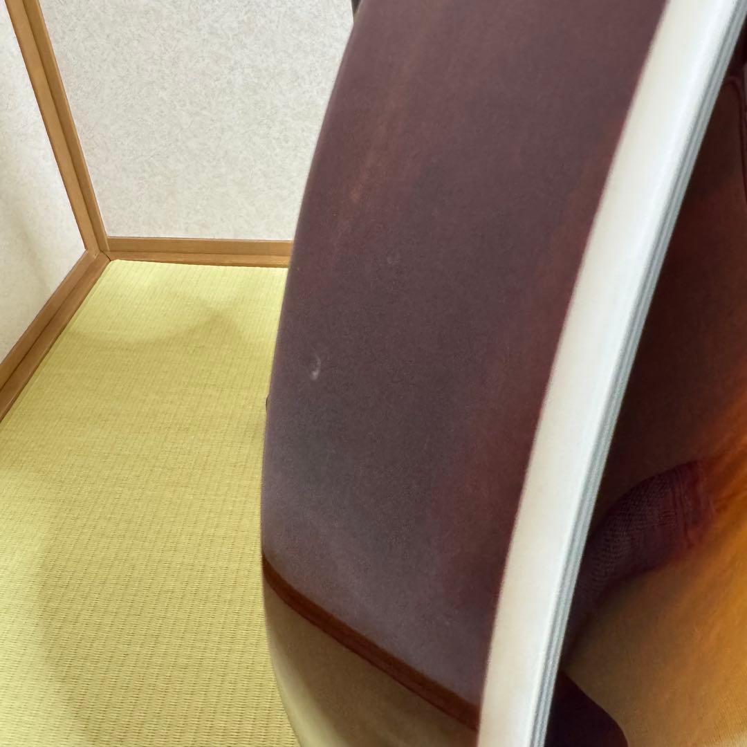 Aria Pro II APE-100 TS エレアコ ロック式ペグ交換済